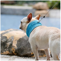 Pet Cooling Scarf for Dogs, Breathable Summer Ice Bandana for Heat Relief