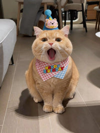 Pet Birthday Bandana and Hat Set for Cats and Small Dogs