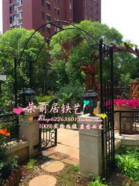 Chinese Style Stainless Steel Garden Arch for Climbing Plants, Outdoor Patio Trellis