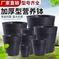 Disposable Thickened Plastic Nursery Pots for Seedling Cultivation