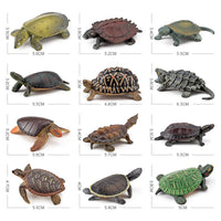 Realistic Amphibious Reptile Turtle Model Figurines for Decoration and Play