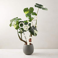 Wooden Honeycomb Plant Trellis for Indoor Garden Potted Plants