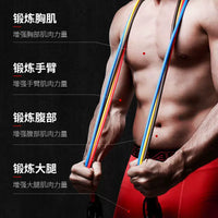 Resistance Band Set for Home Gym Full Body Workout, Strength Training Exercise Bands for Men and Women