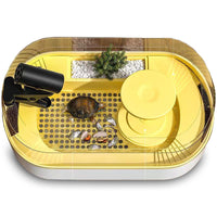 Turtle Tank with Drainage and Filtration System for Aquatic Pets
