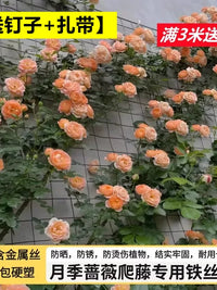 Garden Plant Climbing Net for Roses and Vines, Trellis Support Mesh for Outdoor Wall Climbing