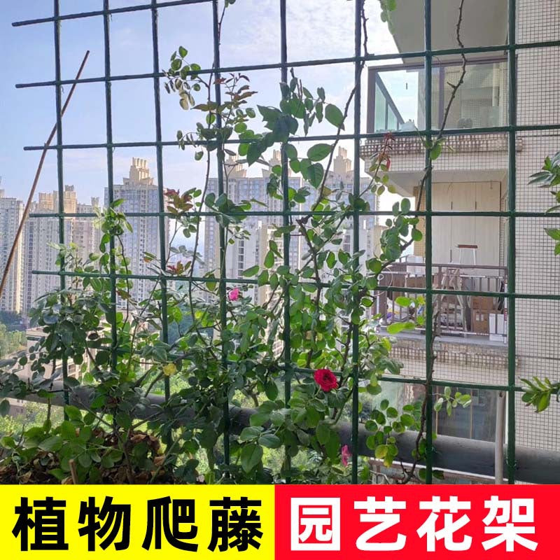 Garden Plant Support Trellis for Climbing Plants, Roses, Clematis, and Jasmine