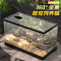 Acrylic Reptile Terrarium with Lid for Lizards, Geckos, Frogs, Snakes, and Hermit Crabs