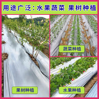 Silver-Black Reflective Mulch Film for Vegetable & Fruit Cultivation, Weed Control, and Pest Repellent