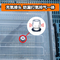 Portable Car Trunk Live Fish Storage Box with Oxygen Tube for Outdoor Fishing and Seafood Transport