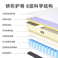 Orthopedic Pet Mattress Bed for Cats and Dogs - All Seasons Spine Support