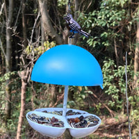 Mushroom Head Outdoor Bird Feeder for Garden and Yard, Dome Rainproof Wild Bird Feeder