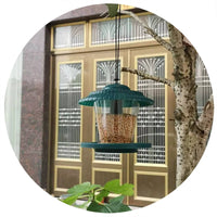 Wild Bird Feeder Hanging Seed Dispenser for Cages and Aviaries