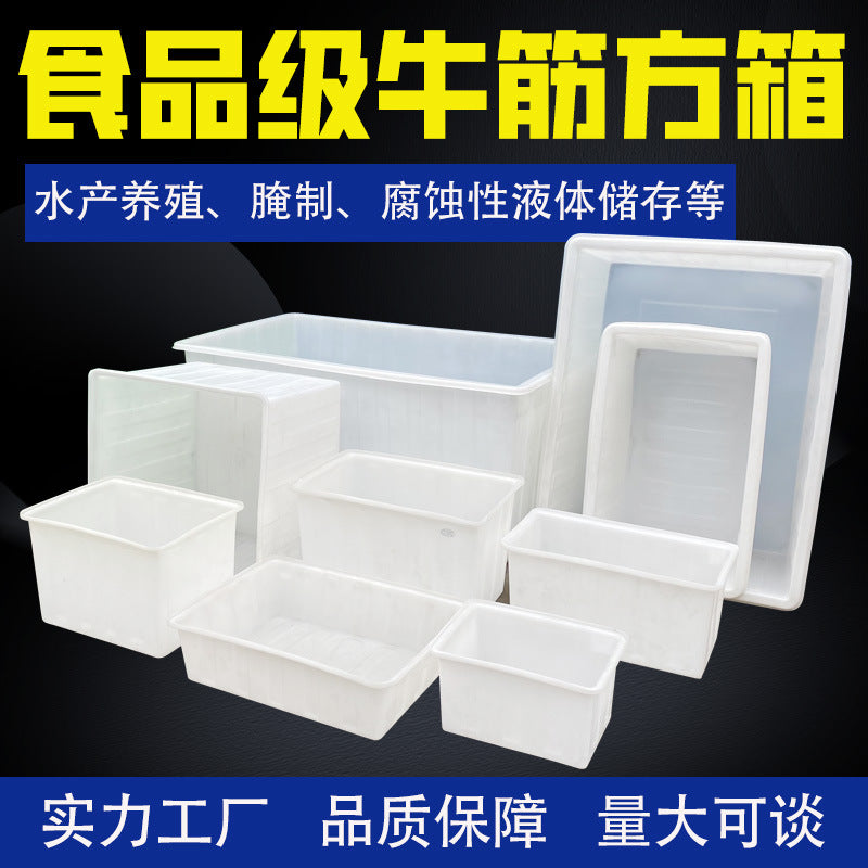 Food-Grade Rectangular Plastic Water Storage Tank for Fish, Turtle, and Seafood Transport