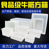 Food-Grade Rectangular Plastic Water Storage Tank for Fish, Turtle, and Seafood Transport