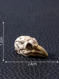 Mini Crow Skull Animal Terrarium DIY Decor Micro Landscape Aquarium Ornament Set