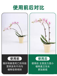 Orchid Plant Support Stakes with Clips for Climbing Vines and Flowers