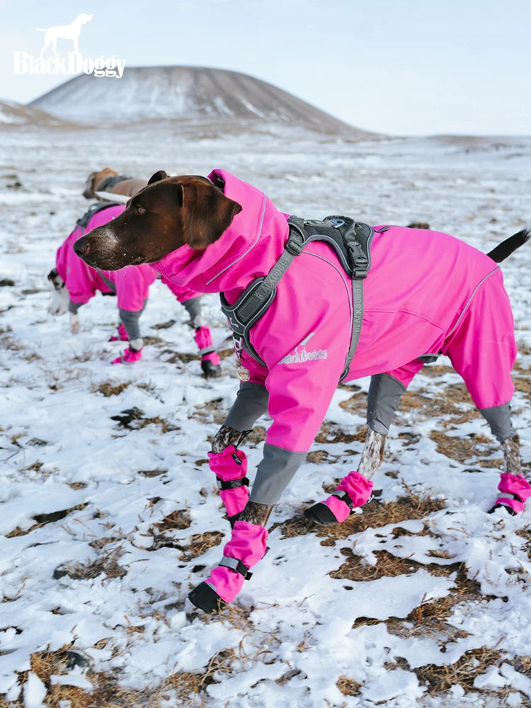 BlackDoggy Rock Warm Hard Shell Four-Legged Outdoor Dog Jacket with Fleece Lining for Winter Snow