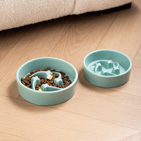 Creative Meteor Ceramic Slow Feeder Pet Bowl for Cats and Dogs, Anti-Gulping, Non-Slip Design