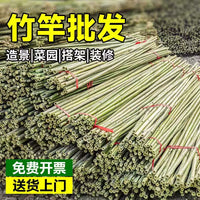Natural Bamboo Stakes for Garden Plant Support, Climbing Vines, Fencing, and Flagpoles