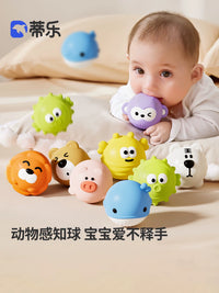 Teether Sensory Balls for Babies, Soft Textured Multi-Ball Set for Tactile Development and Grasping Training