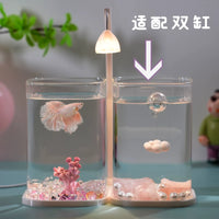 High Transparency Glass Mini Fish Tank with Rounded Corners for Betta Fish and Micro-Landscape