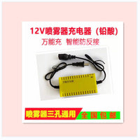12V Smart Charger for Electric Sprayer Lead-Acid/Lithium Battery Water Pump