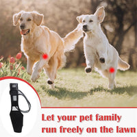 Dog Rear Leg Brace for Joint Support and Injury Recovery