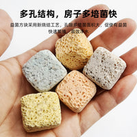 Aquarium Filter Media Nitrifying Bacteria House Quartz Bio-Spheres for Fish Tank Pond Water Purification