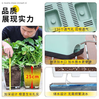 Deepened Self-Watering Planter Box for Balcony & Rooftop Gardening - Large Capacity Root Growing Container for Vegetables & Strawberries