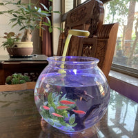 Desktop Round Fish Tank Small Goldfish Bowl Plastic Landscape Ecological Aquarium Transparent Shatterproof
