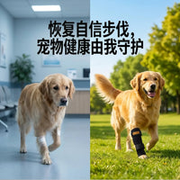 Dog Hock Joint Brace with Adjustable Straps for Support and Injury Recovery