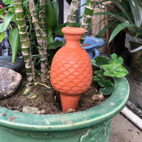 Automatic Ceramic Pineapple Plant Watering Spike for Potted Plants