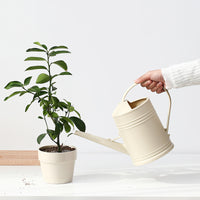 Large Capacity Watering Can with Long Spout for Garden and Indoor Plants