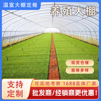 Greenhouse Steel Frame Structure for Vegetable and Flower Cultivation, Farming, and Sunshade