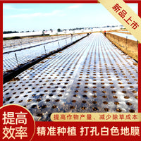 Agricultural Perforated White Mulch Film for Greenhouse Vegetable & Crop Planting