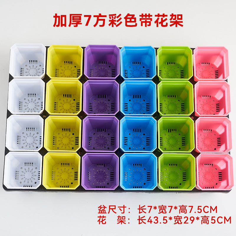 24-Hole Succulent Planter Tray with Optional Square Pots for Seedling Propagation
