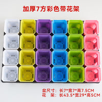 24-Hole Succulent Planter Tray with Optional Square Pots for Seedling Propagation