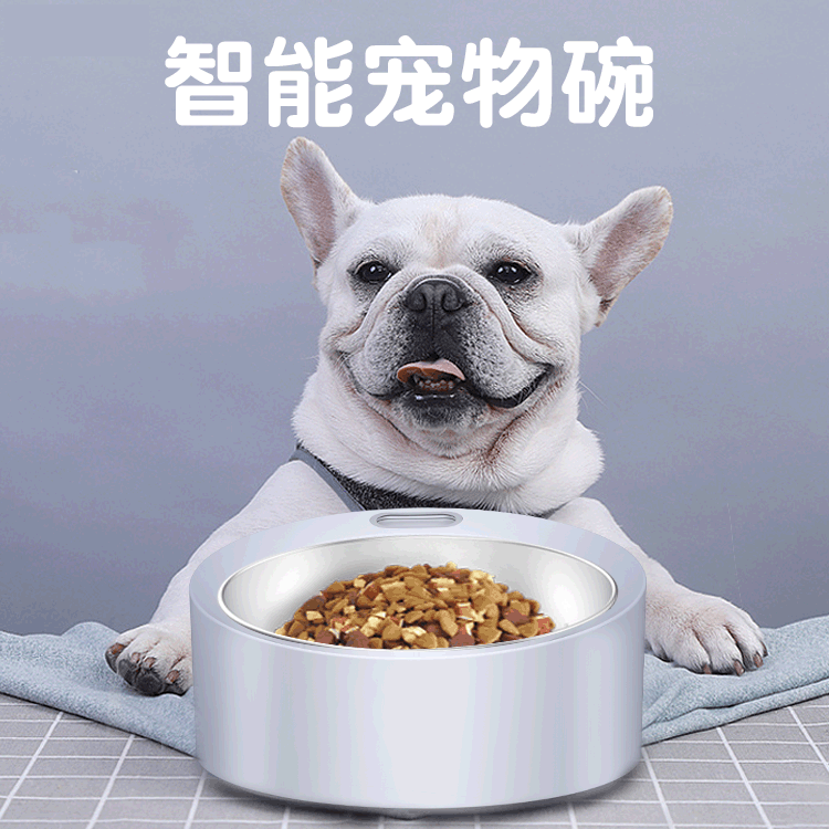 Smart Pet Food Scale Bowl for Cats and Dogs - Health Monitoring Feeder