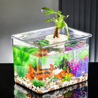Large Transparent PET Fish Tank for Desktop & Home, Small Turtle & Goldfish Aquarium with Landscaping Options