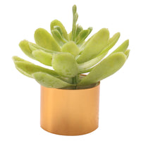 Miniature Dollhouse Plant Shelf with Succulents for BJD Dolls