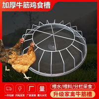 Automatic Poultry Feeder and Waterer for Chickens, Ducks, Geese - Durable Plastic/Stainless Steel Trough