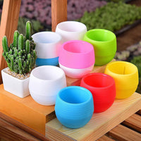 Self-Watering Succulent Planter Pot for Indoor Outdoor Plants
