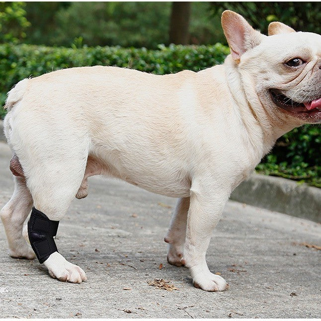 Pet Dog Post-Surgery Leg Brace Anti-Lick Joint Support Sleeve