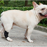 Pet Dog Post-Surgery Leg Brace Anti-Lick Joint Support Sleeve