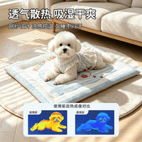 Pet Cooling Mat Washable Ice Silk Dog Bed Anti-Slip Cat Sleeping Pad for All Seasons