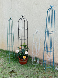 Iron Art Plant Climbing Trellis for Potted Plants, Clematis, Roses, and Vines
