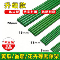 Garden Plant Support Stakes and Trellis Kit for Climbing Vegetables and Flowers