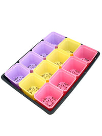 Succulent Seedling Tray with Lids and Pots for Propagation