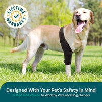 Pet Dog Leg Brace with Support Strips for Injury Recovery