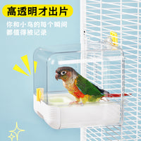Bird Bath Tub and Feeder Combo for Parrots, Budgies, and Cockatiels, Splash-Proof